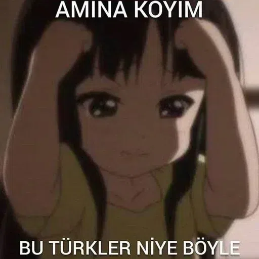 Turkey Shitposts - Sticker 22