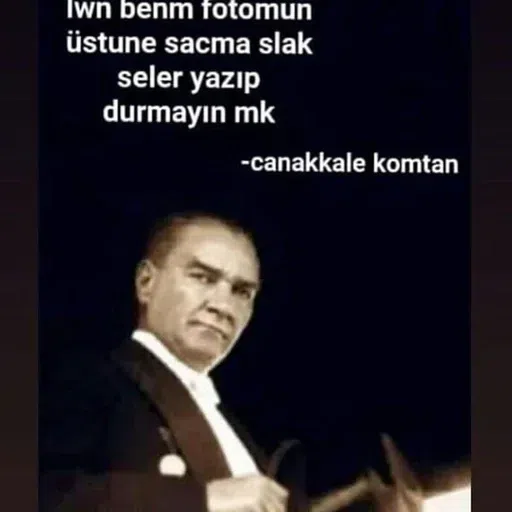 Turkey Shitposts - Sticker 25