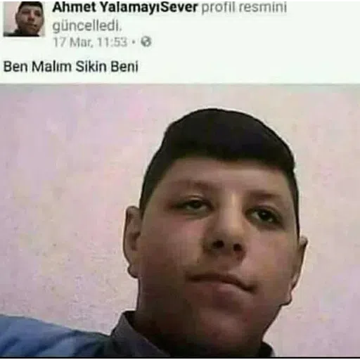 Turkey Shitposts - Sticker 9