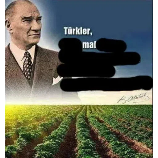 Turkey Shitposts - Sticker 18