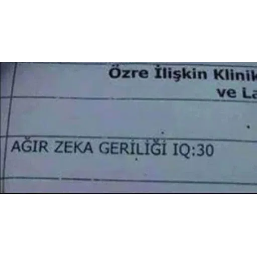 Turkey Shitposts - Sticker 10
