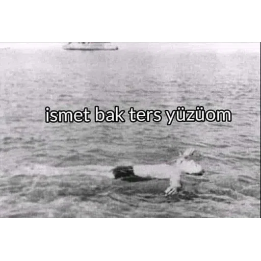 Turkey Shitposts - Sticker 26