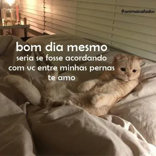 AnimaisSafados - Sticker 29