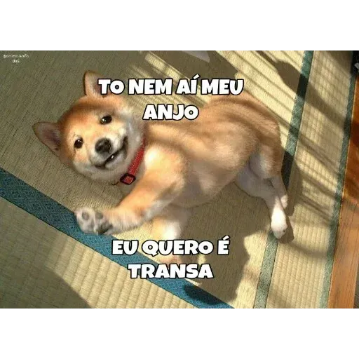 AnimaisSafados - Sticker 23