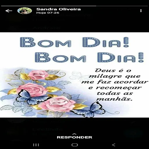 mensagem diaria  - Sticker 13