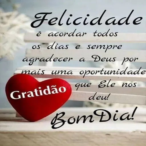 mensagem diaria  - Sticker 19