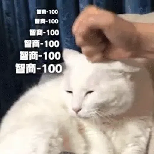 cat - Sticker 27