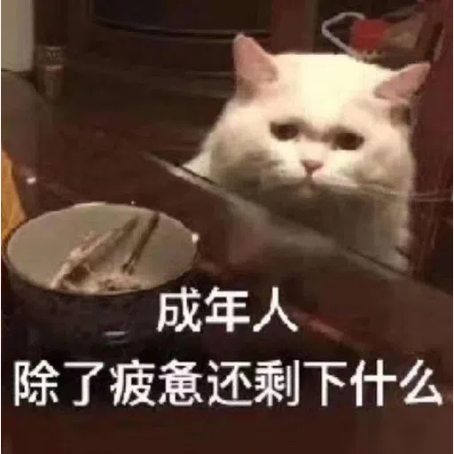cat - Sticker 26
