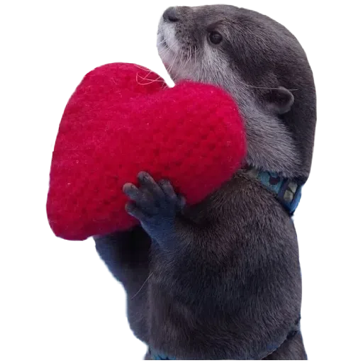 Otters - Sticker 11