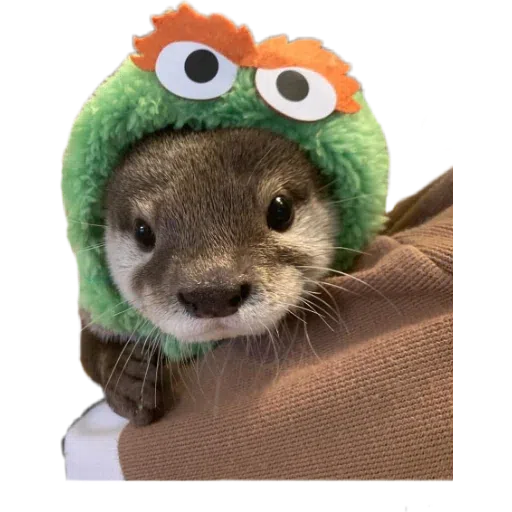 Otters - Sticker 15