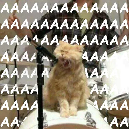 Cute catto - Sticker 10
