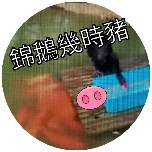 豬Duck - Sticker 25