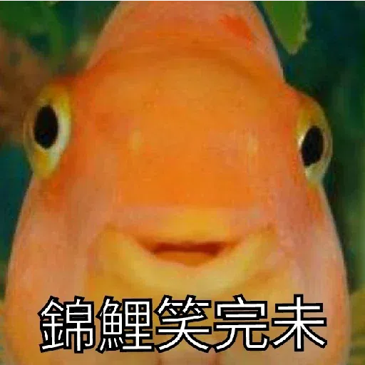 豬Duck - Sticker 9