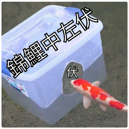豬Duck - Sticker 23