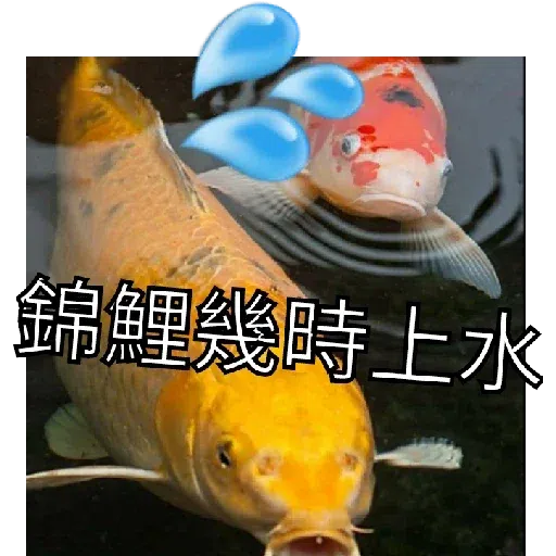 豬Duck - Sticker 22