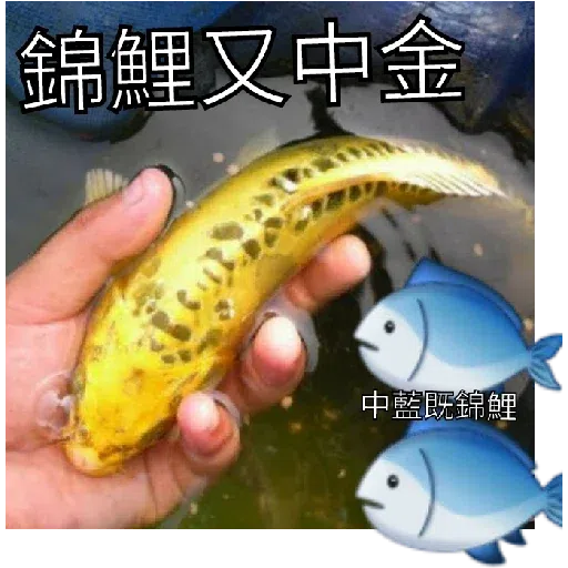 豬Duck - Sticker 14
