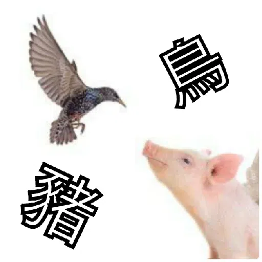 豬Duck - Sticker 28