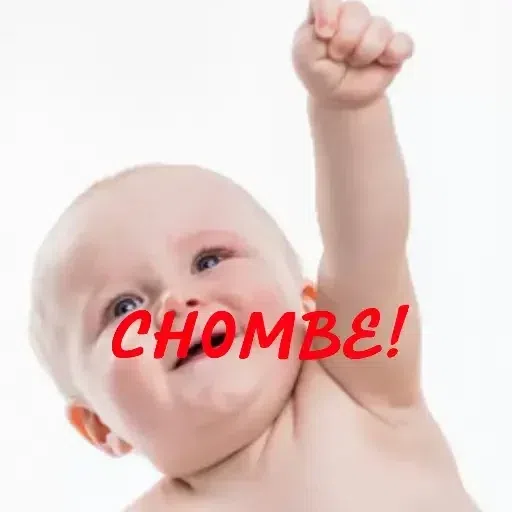 Voler c'est pas e - Sticker 15
