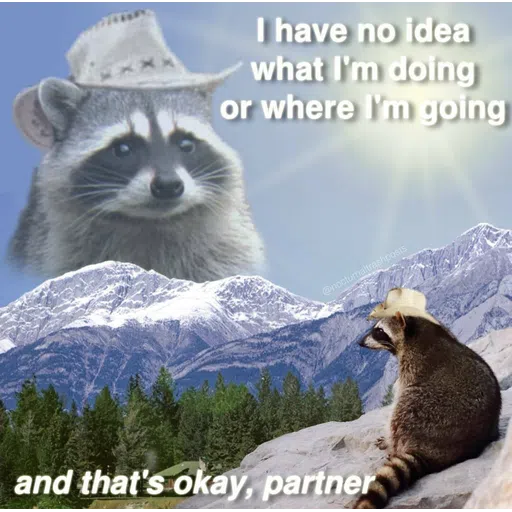 Raccoonz2 - Sticker 11