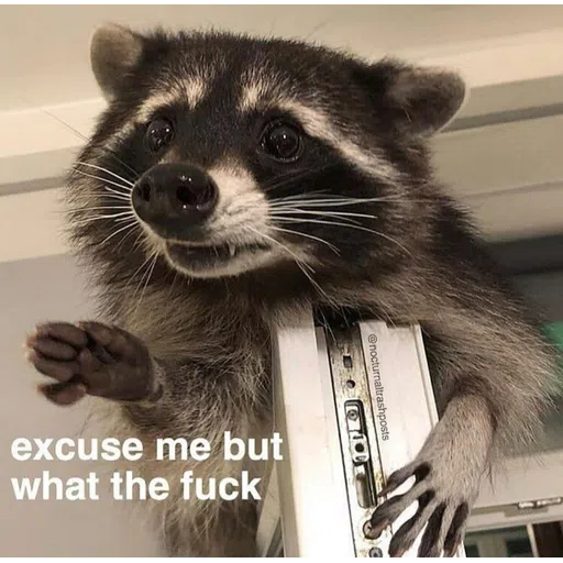Raccoonz2 - Sticker 12