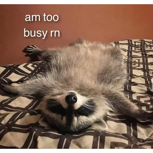 Raccoonz2 - Sticker 10