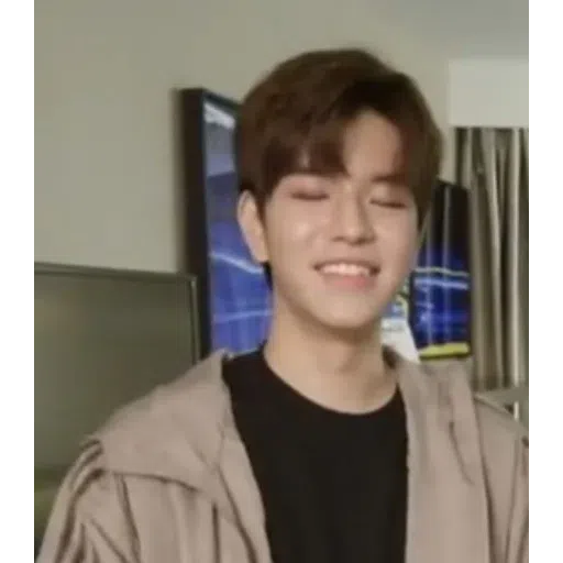 Stray kids - Sticker 29