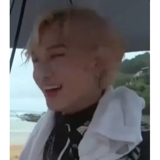 Stray kids - Sticker 15