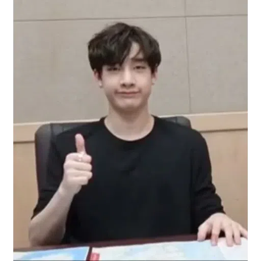 Stray kids - Sticker 22