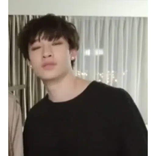 Stray kids - Sticker 30