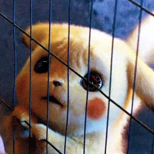 Pikachuwu - Sticker 11