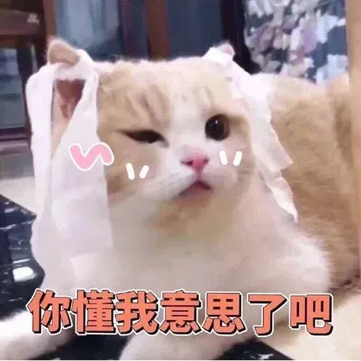 Cats? - Sticker 28