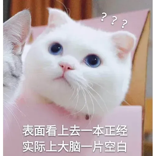 Cats? - Sticker 9