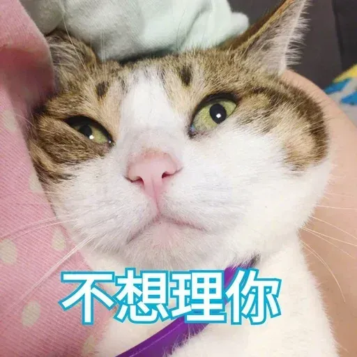 Cats? - Sticker 30