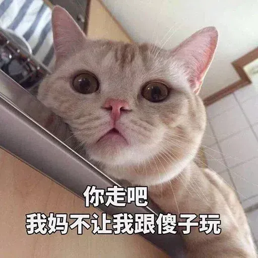 Cats? - Sticker 12