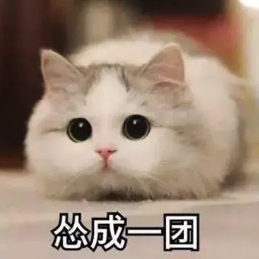 Cats? - Sticker 14