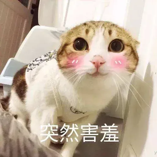 Cats? - Sticker 11