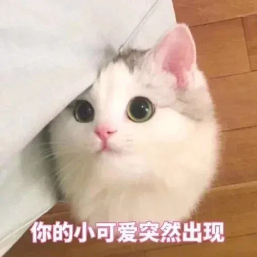 Cats? - Sticker 19