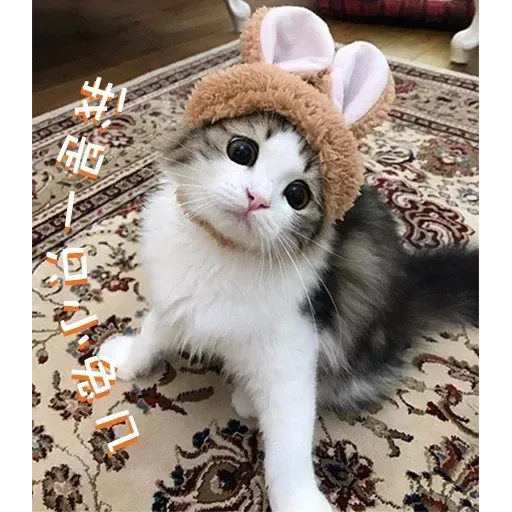 Cats? - Sticker 17