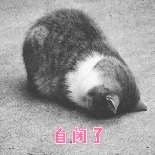 Cats? - Sticker 29