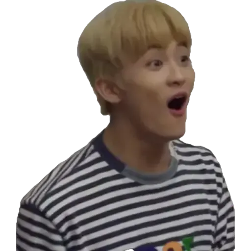 NCT memes - S3 - Sticker 24