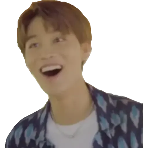 NCT memes - S3 - Sticker 25
