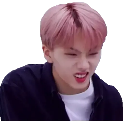 NCT memes - S3 - Sticker 17