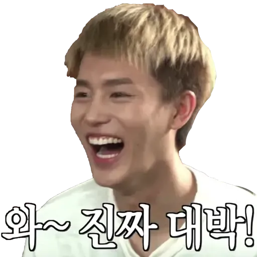 NCT memes - S3 - Sticker 9