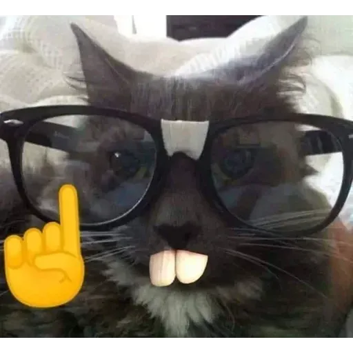 Gatus cats - Sticker 10