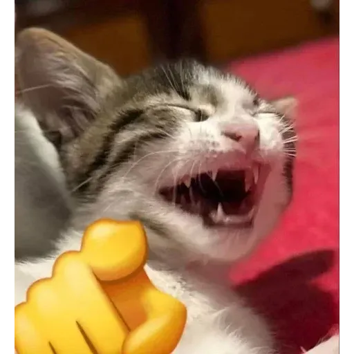 Gatus cats - Sticker 11