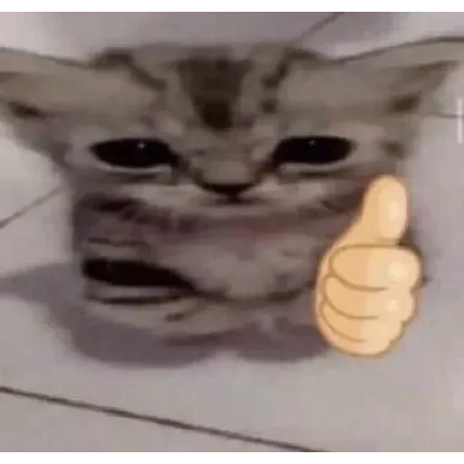 Gatus cats - Sticker 15