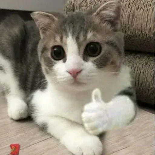 Cat 2.0 - Sticker 21