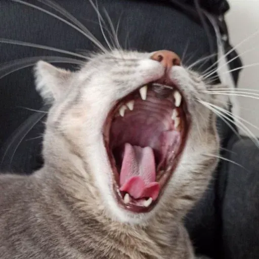 Cat 2.0 - Sticker 28