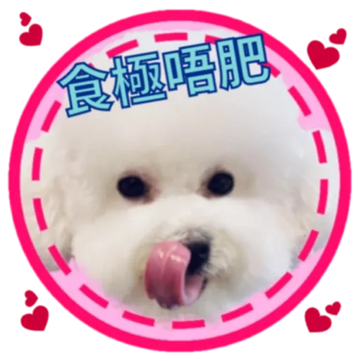 cookie賀年 - Sticker 12