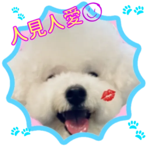 cookie賀年 - Sticker 10